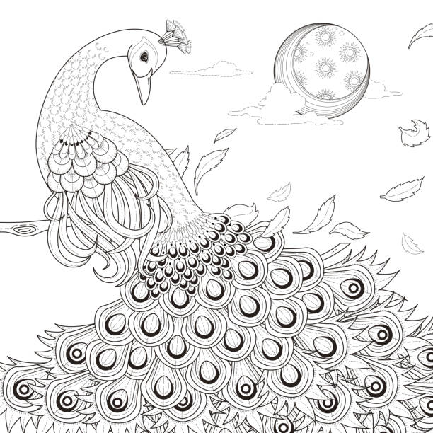 Peacock coloring pages for adults Lisamarie5 porn