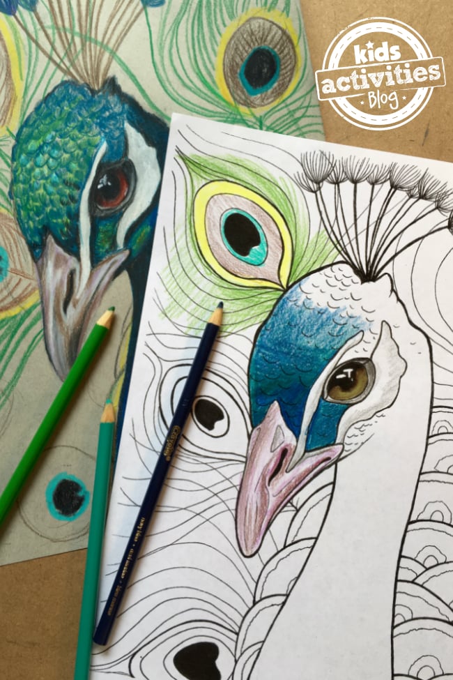 Peacock coloring pages for adults Interracial family photos