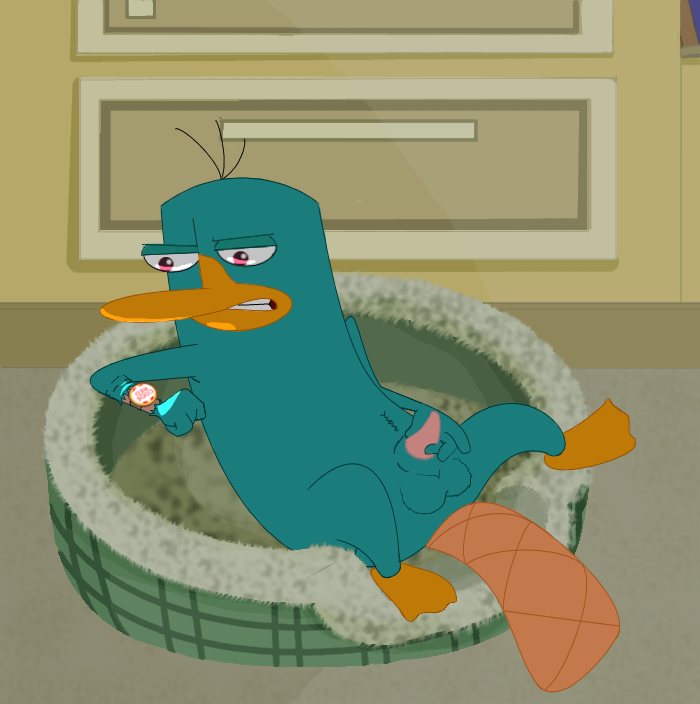 Phineas and ferb gay porn Porn large porn