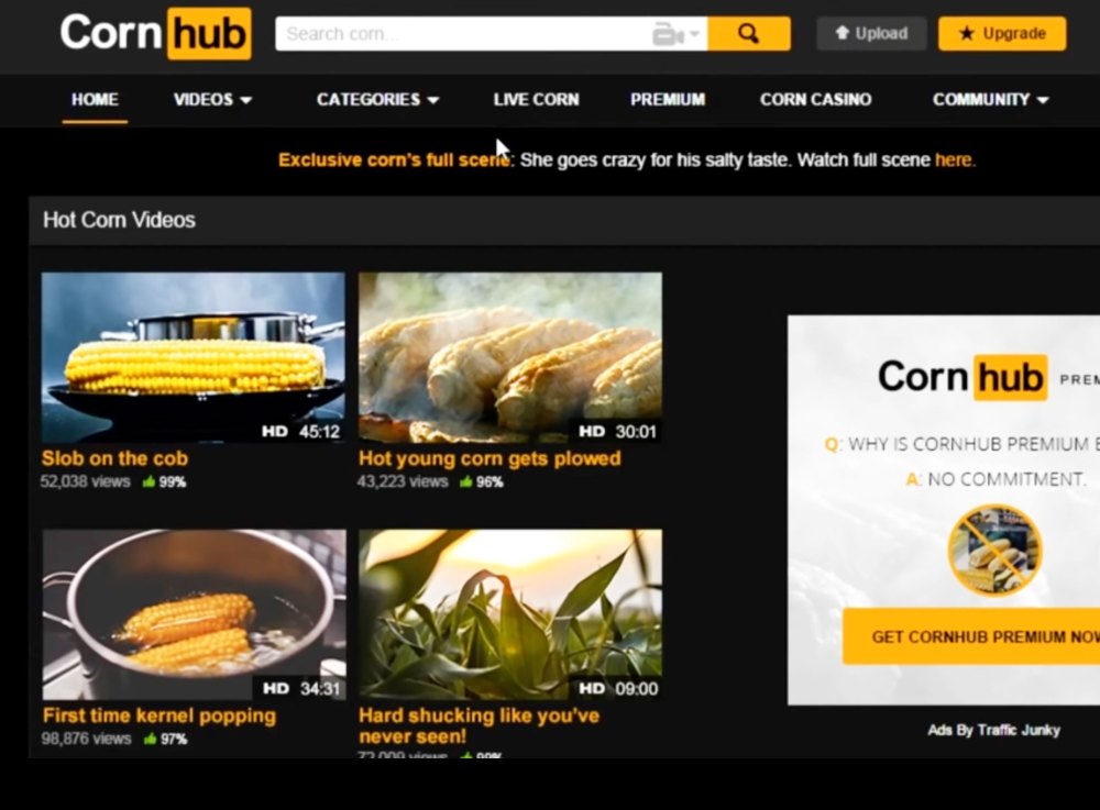 Porn hub community videos Und webcam
