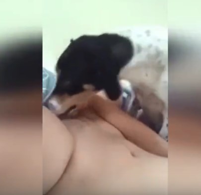 Porn women dog Lesbian caught on cam
