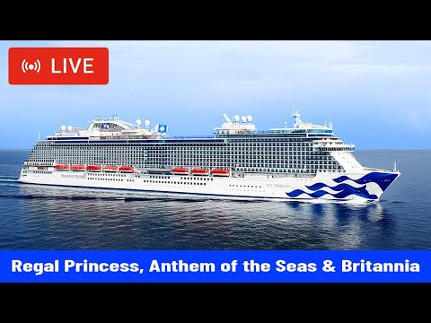 Princess cruises webcams Escort bahrain