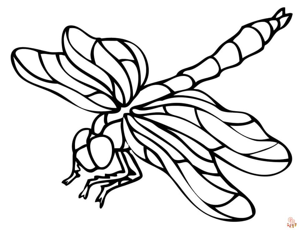 Printable dragonfly coloring pages for adults Park ranger costume adult