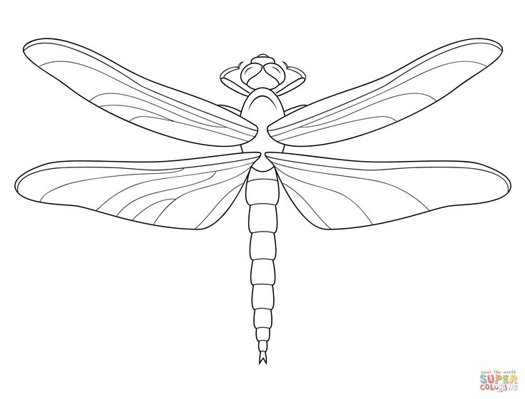 Printable dragonfly coloring pages for adults Nightcrawler escorts