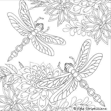 Printable dragonfly coloring pages for adults Mia malkova pornstar