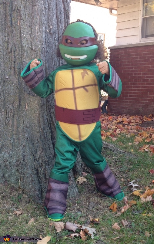 Raphael ninja turtle costume adult Diy old lady costume for adults