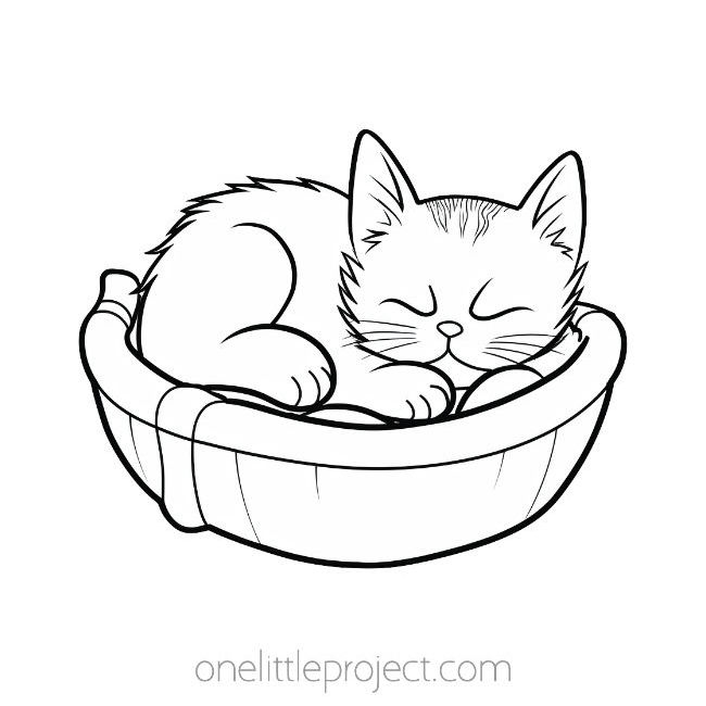 Realistic cat coloring pages for adults Es pornhub fom