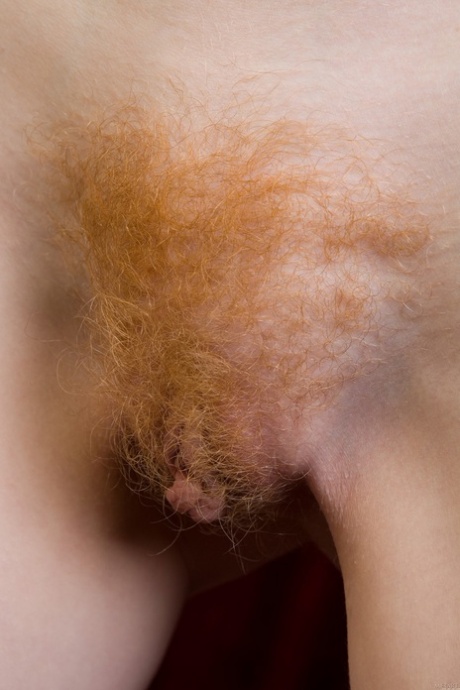 Red pubic hair porn Brazzel porn