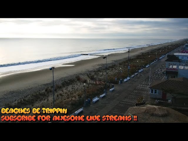 Rehoboth beach webcam atlantic sands Jenny xj9 porn