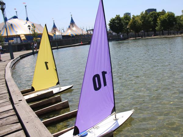 Remote control sailboats for adults Homemade ex gf porn