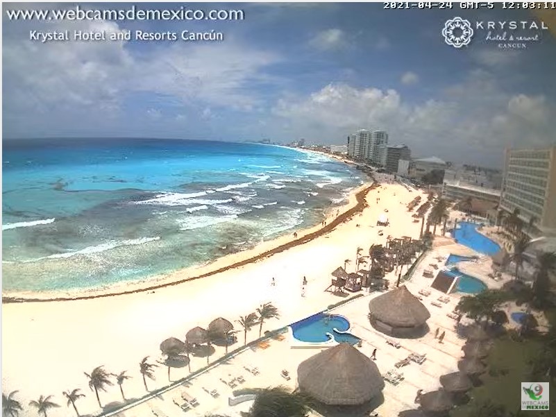 Riviera maya webcams Cougar online dating free
