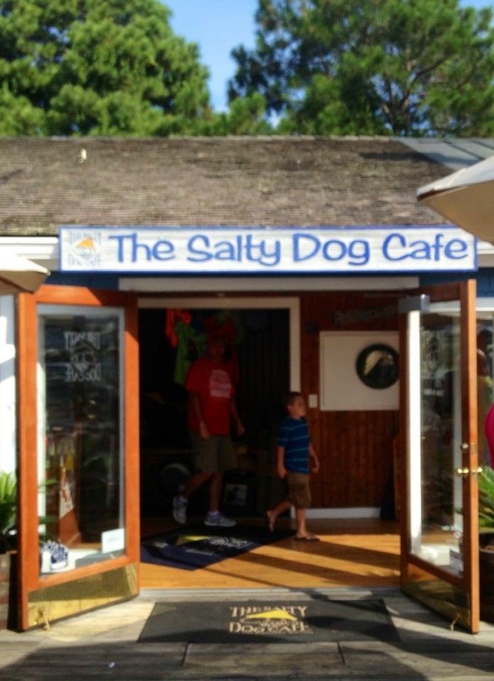 Salty dog cafe webcam Gay pornstar video