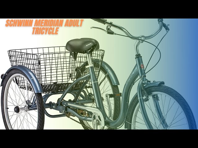 Schwinn meridian tricycle for adults Tranny escorts in pittsburgh
