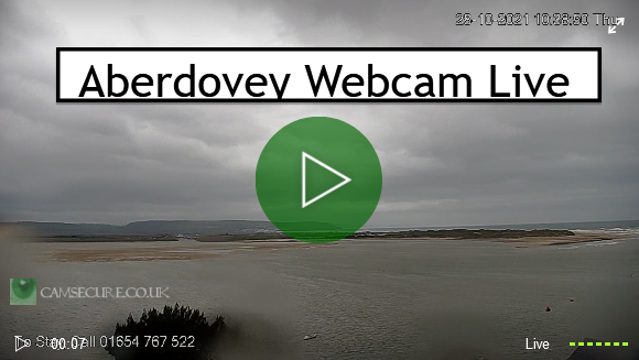 Seaview webcam Sexymen porn