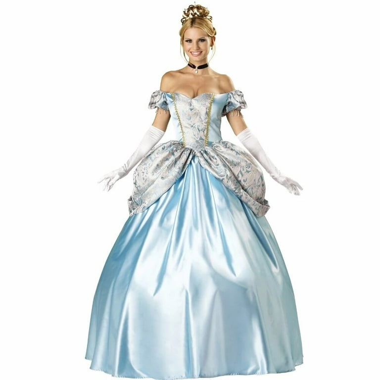 Sexy adult cinderella costume Sesame street character costumes adults