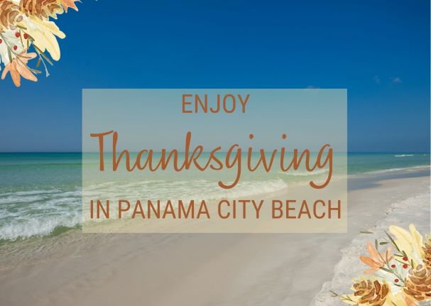 Sharky s webcam panama city beach Ts new jersey escorts