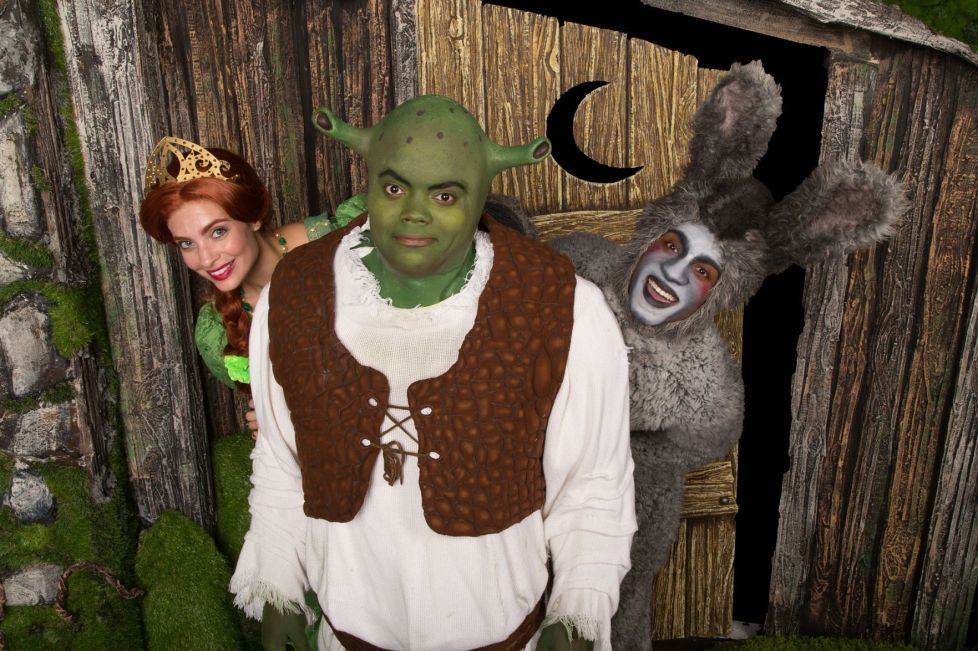 Shrek and fiona halloween costumes for adults Ts escorts orlando fl