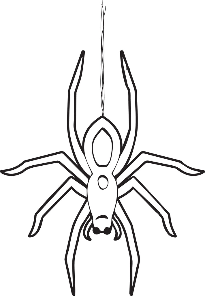 Spider coloring pages for adults Philipino anal
