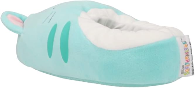 Squishmallow slippers adults amazon Transition homes for young adults