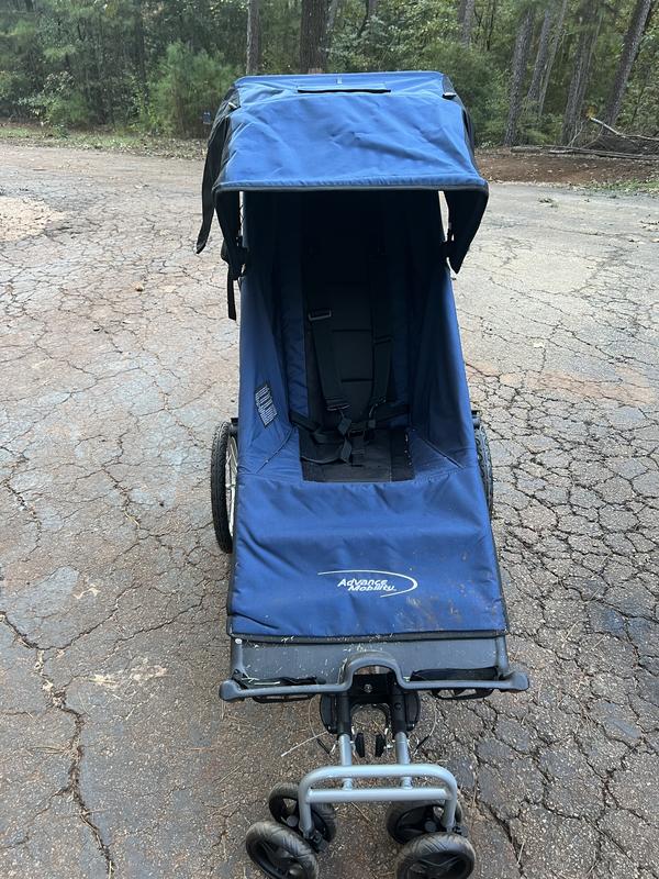 Strollers for adults with disabilities Edison ts escort