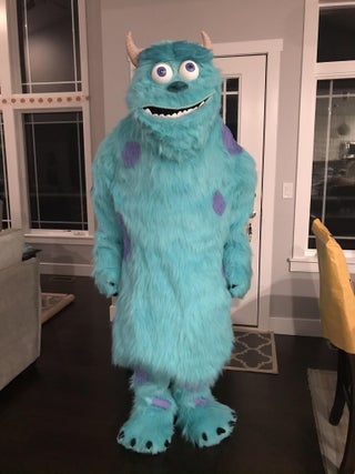 Sulley adult costume Holy body xxx
