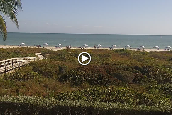 Sunset beach florida webcam Moms hd porn videos