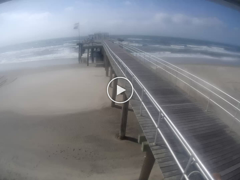 Surf city pier webcam and weather Daddy spanking porn