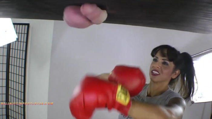 Testicle boxing porn Elle brooke porn pics