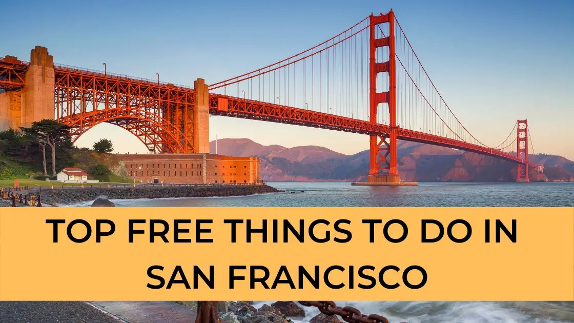 Things to do in san francisco for adults Curious george t shirt adults