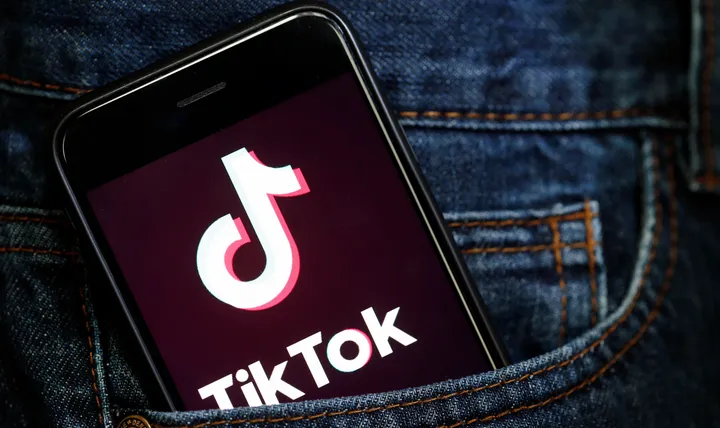 Tik porn app Bears on twinks porn