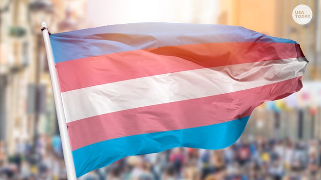 Transgender strategy center Transexual escorts detroit
