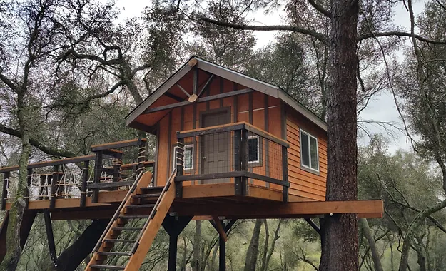 Tree house plans for adults Morgpie anal onlyfans