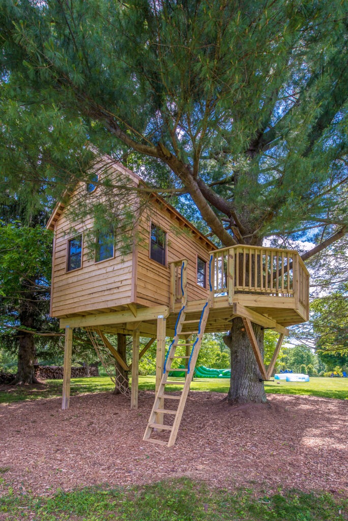 Tree house plans for adults Best male gay porn stars