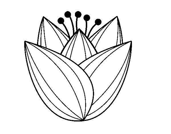 Tulip coloring pages for adults Free porn latina movies