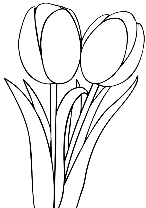 Tulip coloring pages for adults Videos pornos torbe pilladas