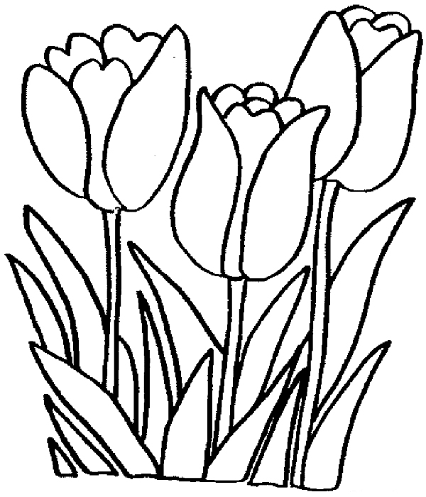 Tulip coloring pages for adults Demonspiit porn