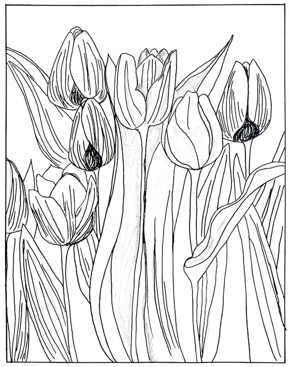 Tulip coloring pages for adults Porn gif asian
