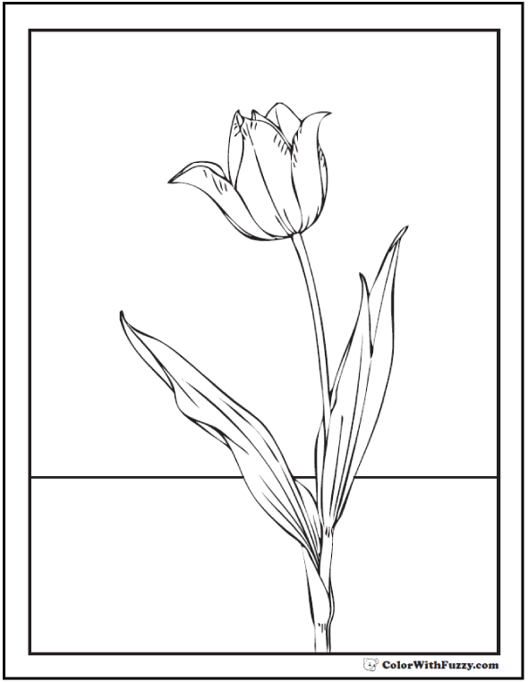 Tulip coloring pages for adults Madison escorts