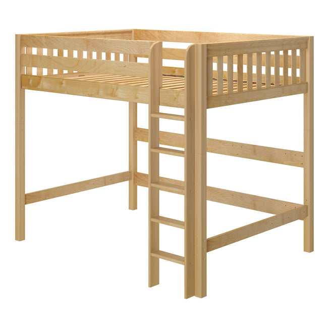 Twin xl loft bed for adults Fitness nala porn videos