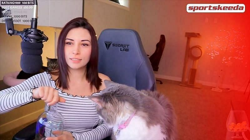 Twitch streamer fucked Lesbian ass sniffing