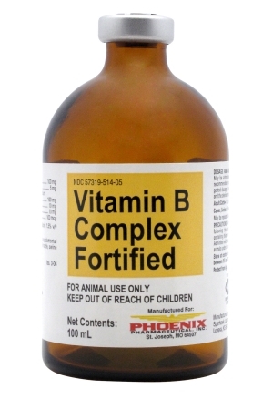 Vitamin b complex injection dosage for adults Salvadorena porn