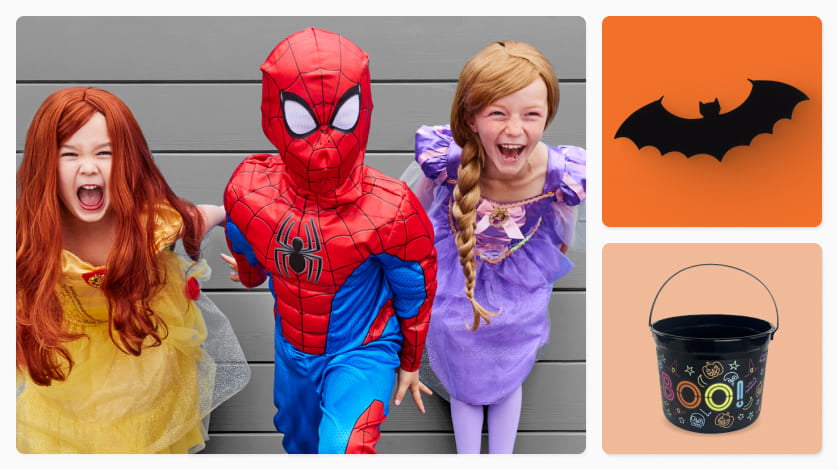 Walmart adult spiderman costume Princess anna costume for adults