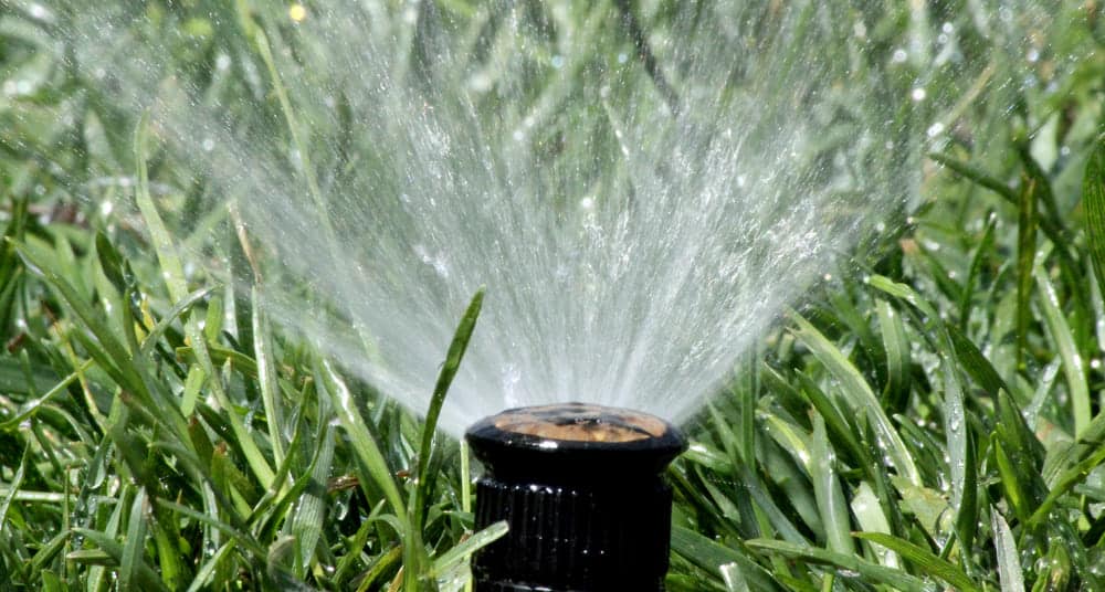 Water sprinklers for adults Double penetration standing up