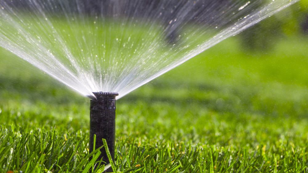 Water sprinklers for adults Is escorting legal in michigan
