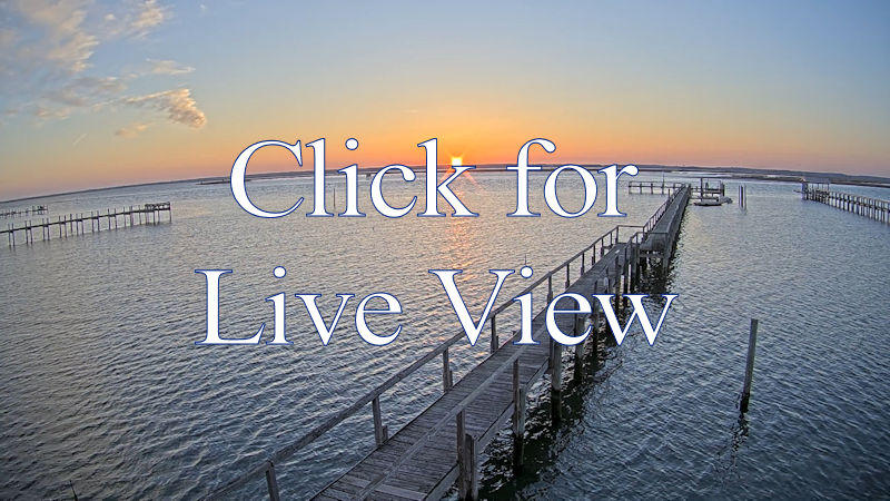 Watermans webcam on virginia beach boardwalk Professional porn videos