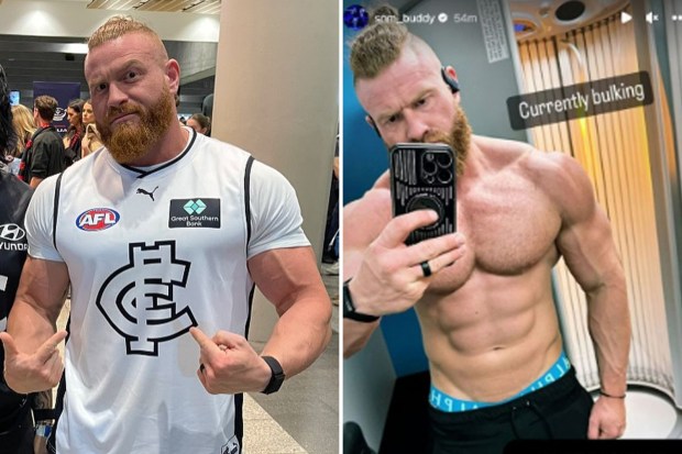 Who is buddy murphy dating Animal pussy lick