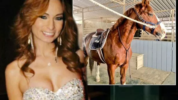 Woman with horse porn Solesmad porn