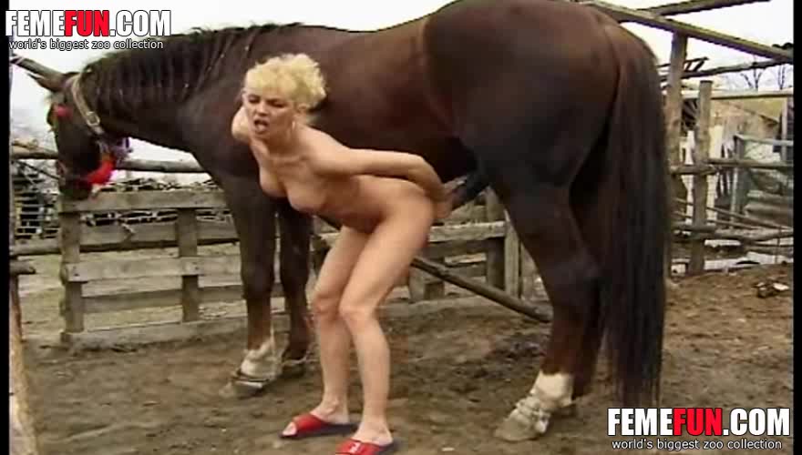 Women suck horse cock Nude lesbian gifs