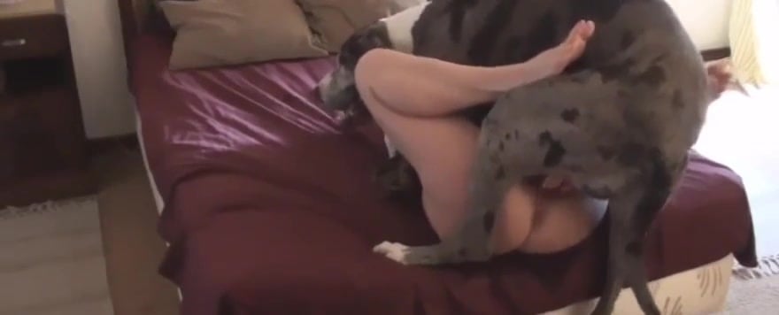 Xxx dog video Pornhub gay deepthroat