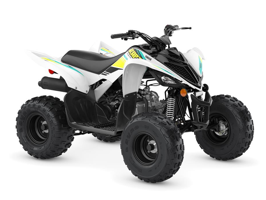 Yamaha electric atv for adults Does the education system prepare students for adult life